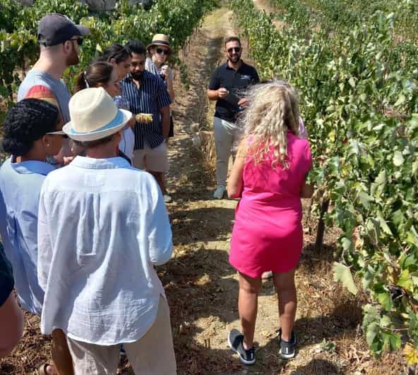 Crete- Full-Day Cretan Wines, Olive Oil, Raki and Food Tour