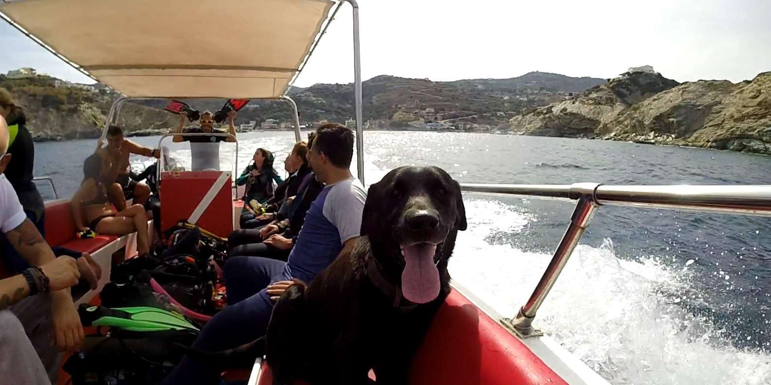 Ligaria- Snorkeling trip with Motor Boat around Agia Pelagia