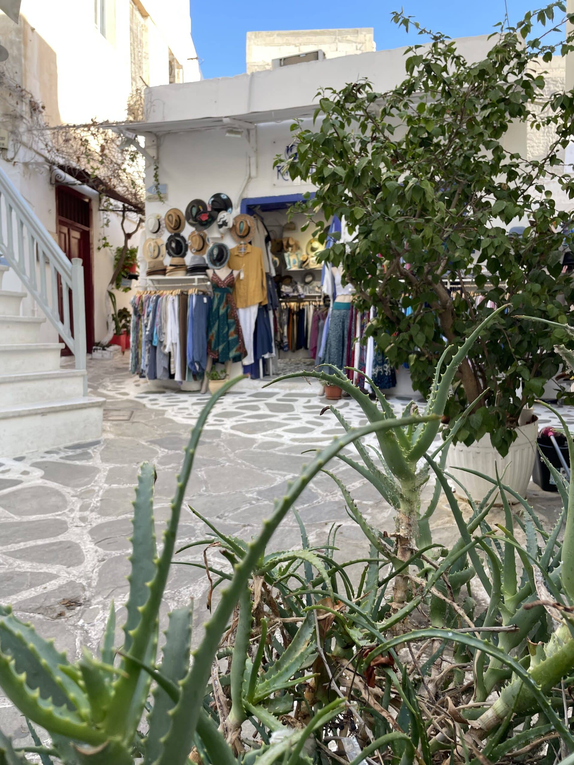 Naxos Visit_17