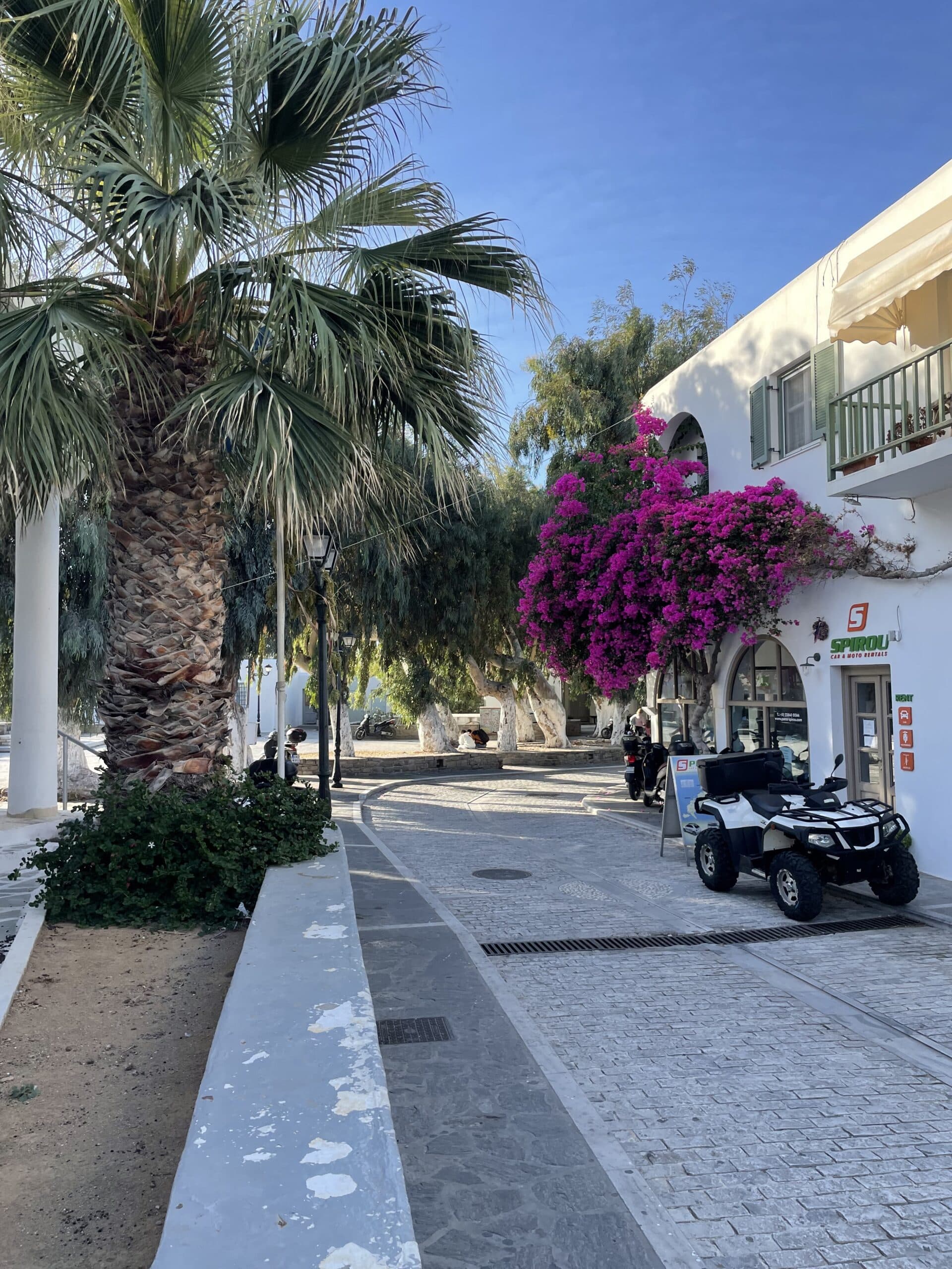 Picturesque alley in Paros